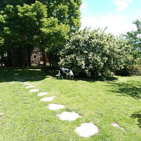 Casa Mezzuola Agriturismo Villa Greve in Chianti Eksteriør billede