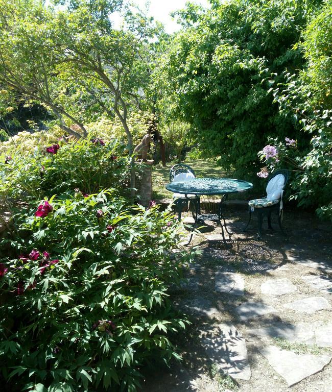 Casa Mezzuola Agriturismo Villa Greve in Chianti Eksteriør billede