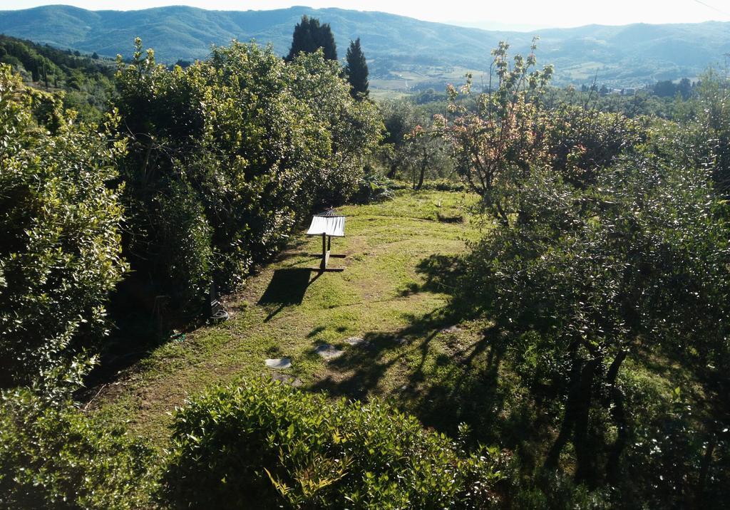 Casa Mezzuola Agriturismo Villa Greve in Chianti Eksteriør billede