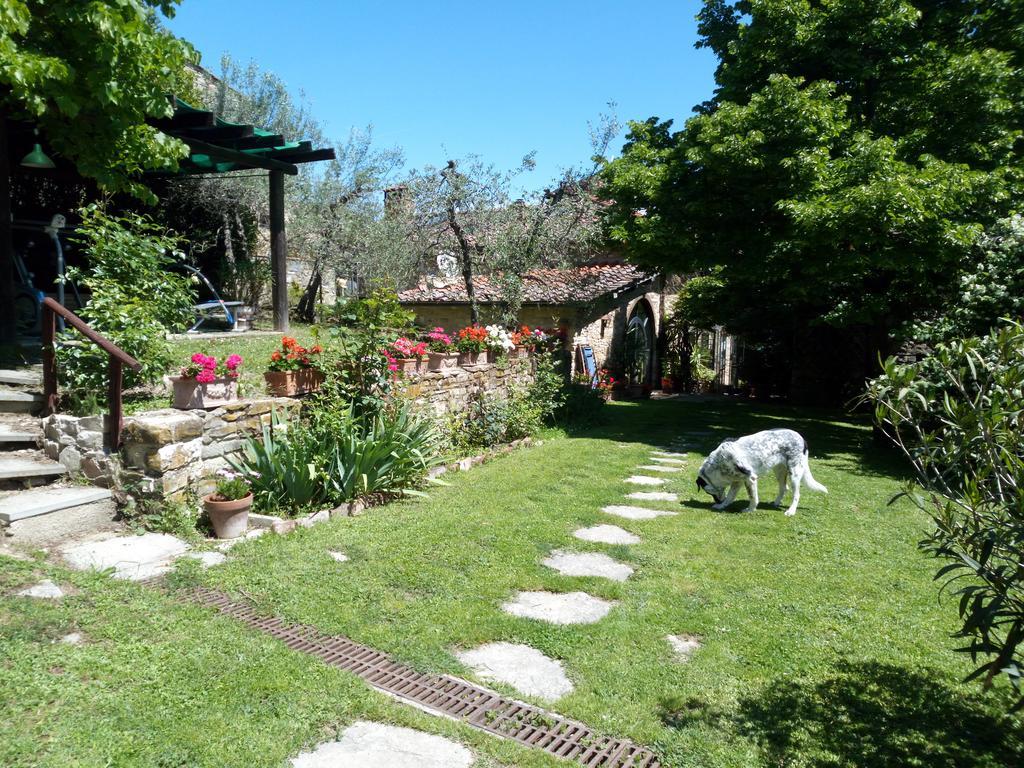 Casa Mezzuola Agriturismo Villa Greve in Chianti Eksteriør billede